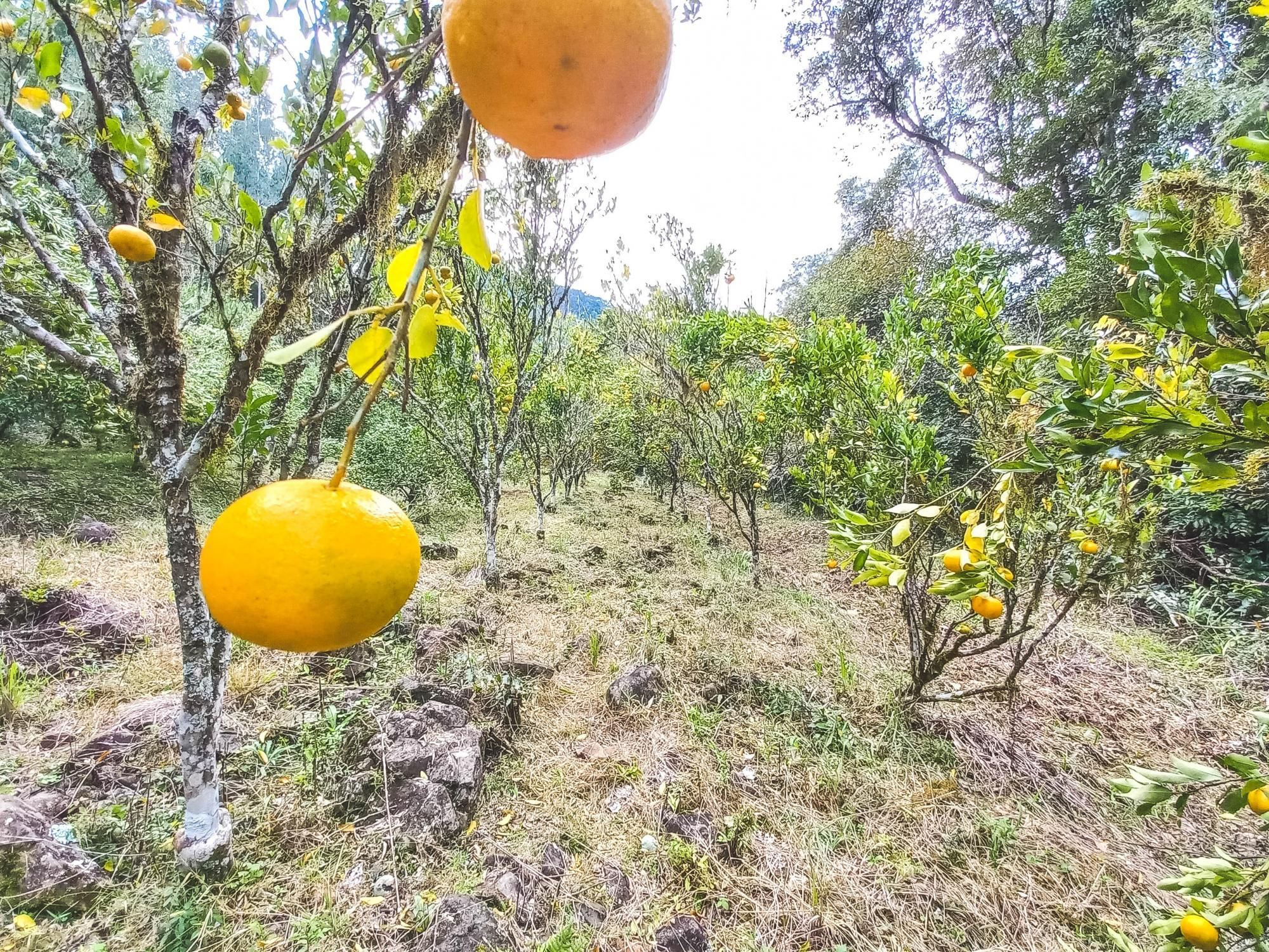 Loteamento e Condomínio à venda, 40m² - Foto 14