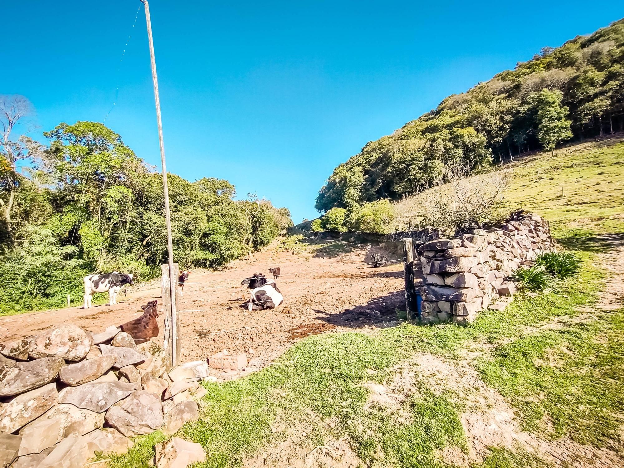 Loteamento e Condomínio à venda, 90m² - Foto 12