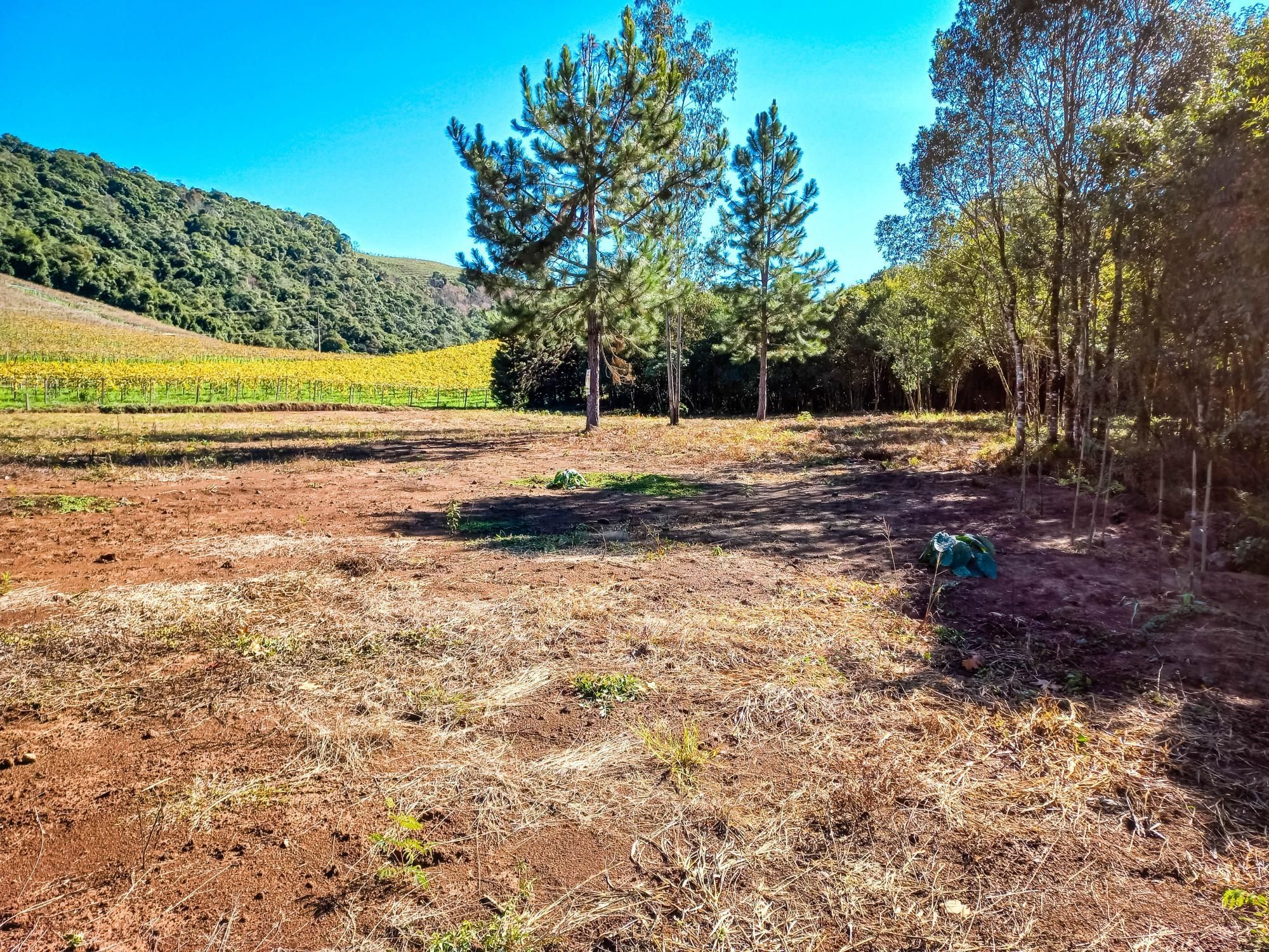 Loteamento e Condomínio à venda, 6000m² - Foto 9