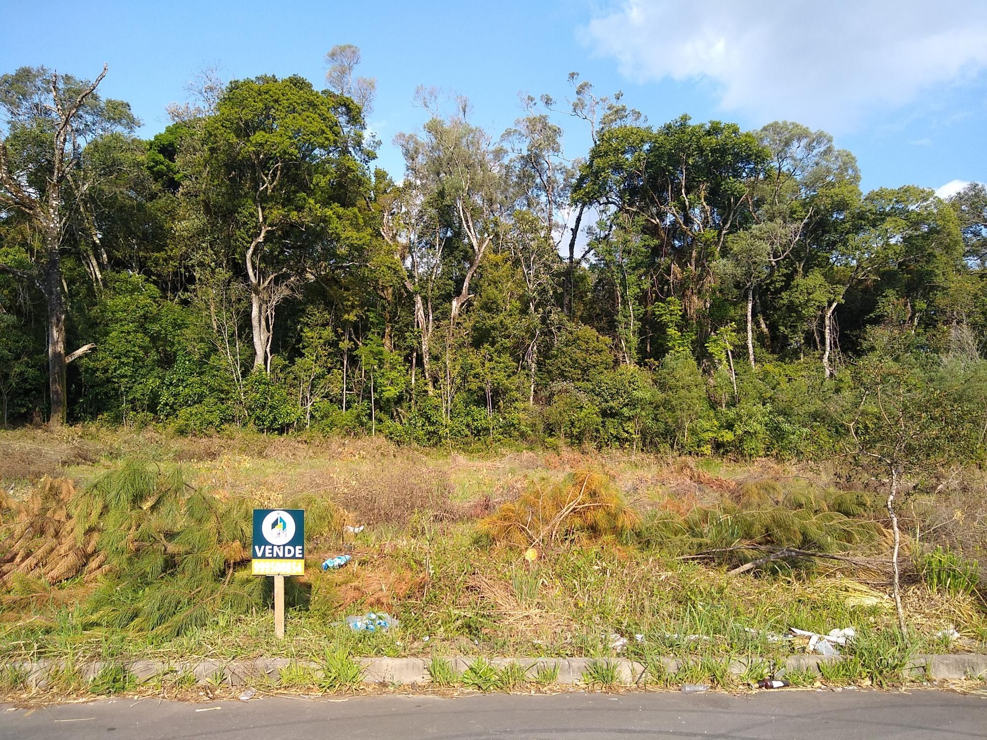 Terreno à venda, 900m² - Foto 2