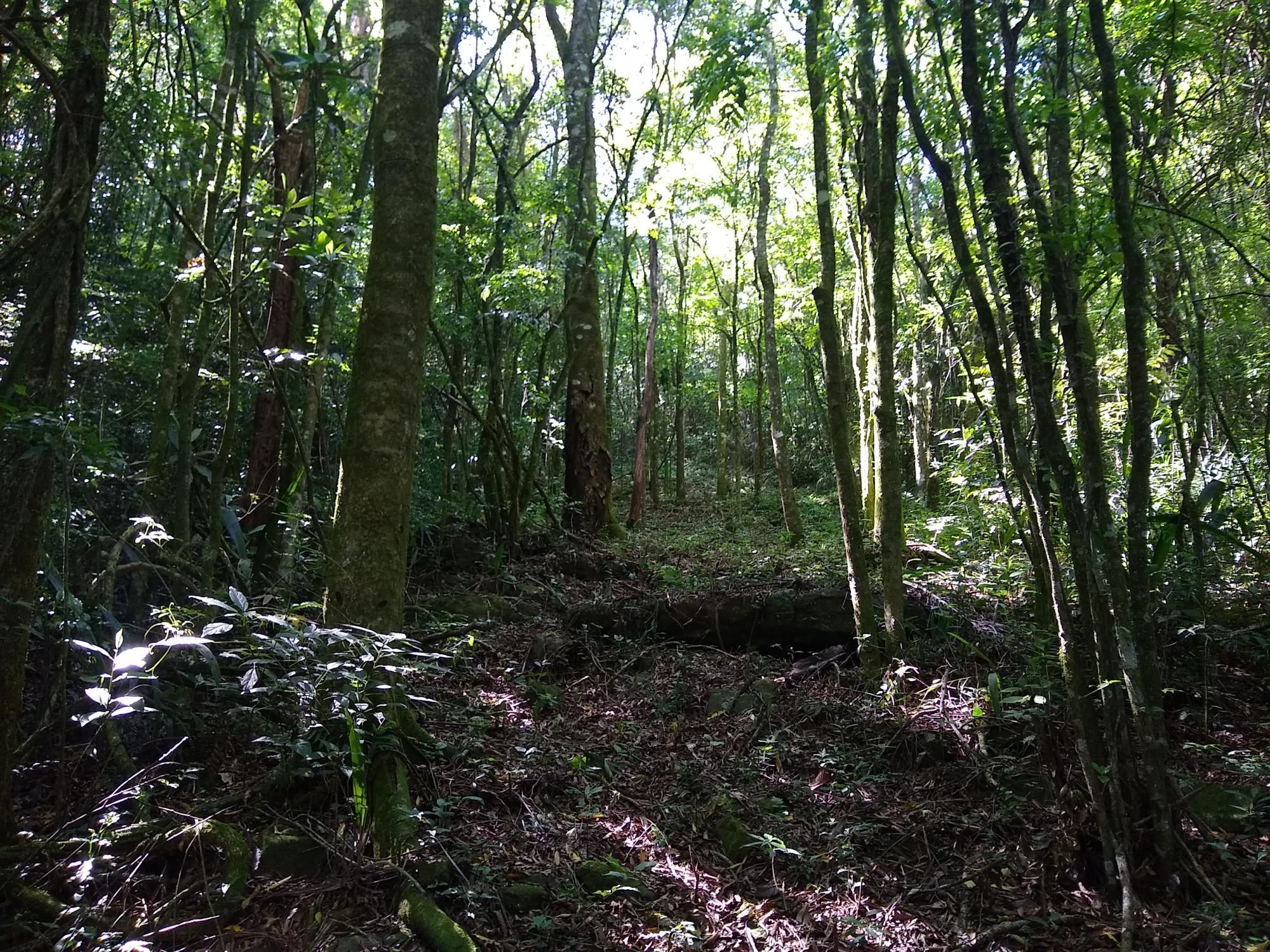 Loteamento e Condomínio, 2 hectares - Foto 4