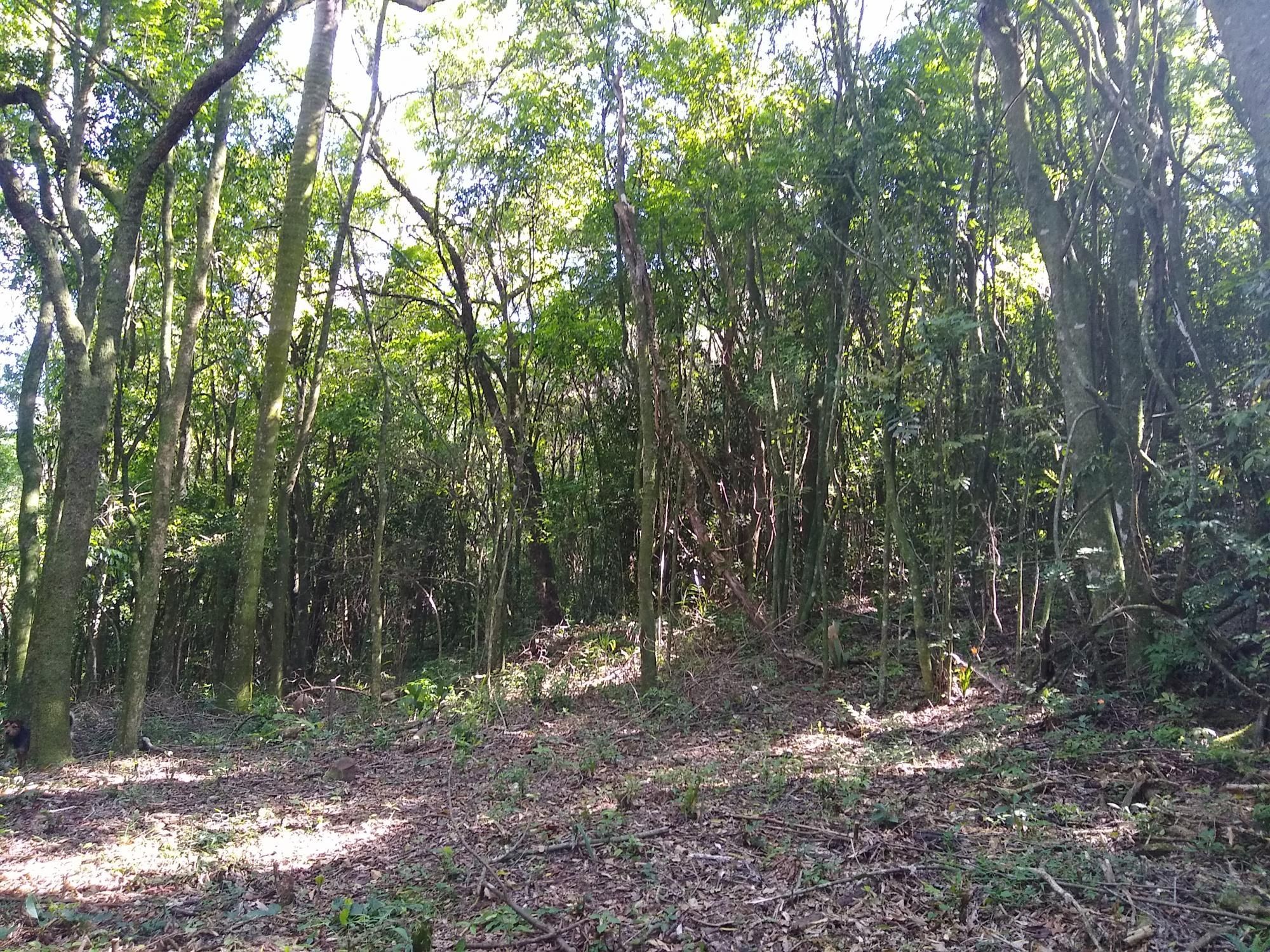 Loteamento e Condomínio à venda, 20000m² - Foto 5