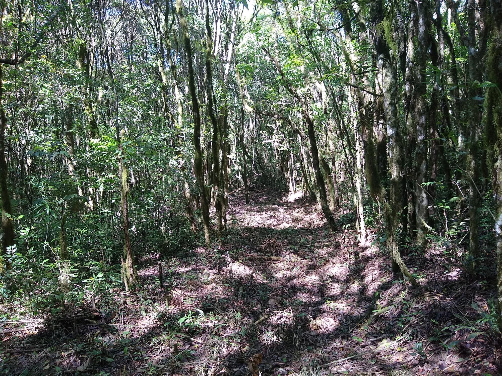 Loteamento e Condomínio, 2 hectares - Foto 3