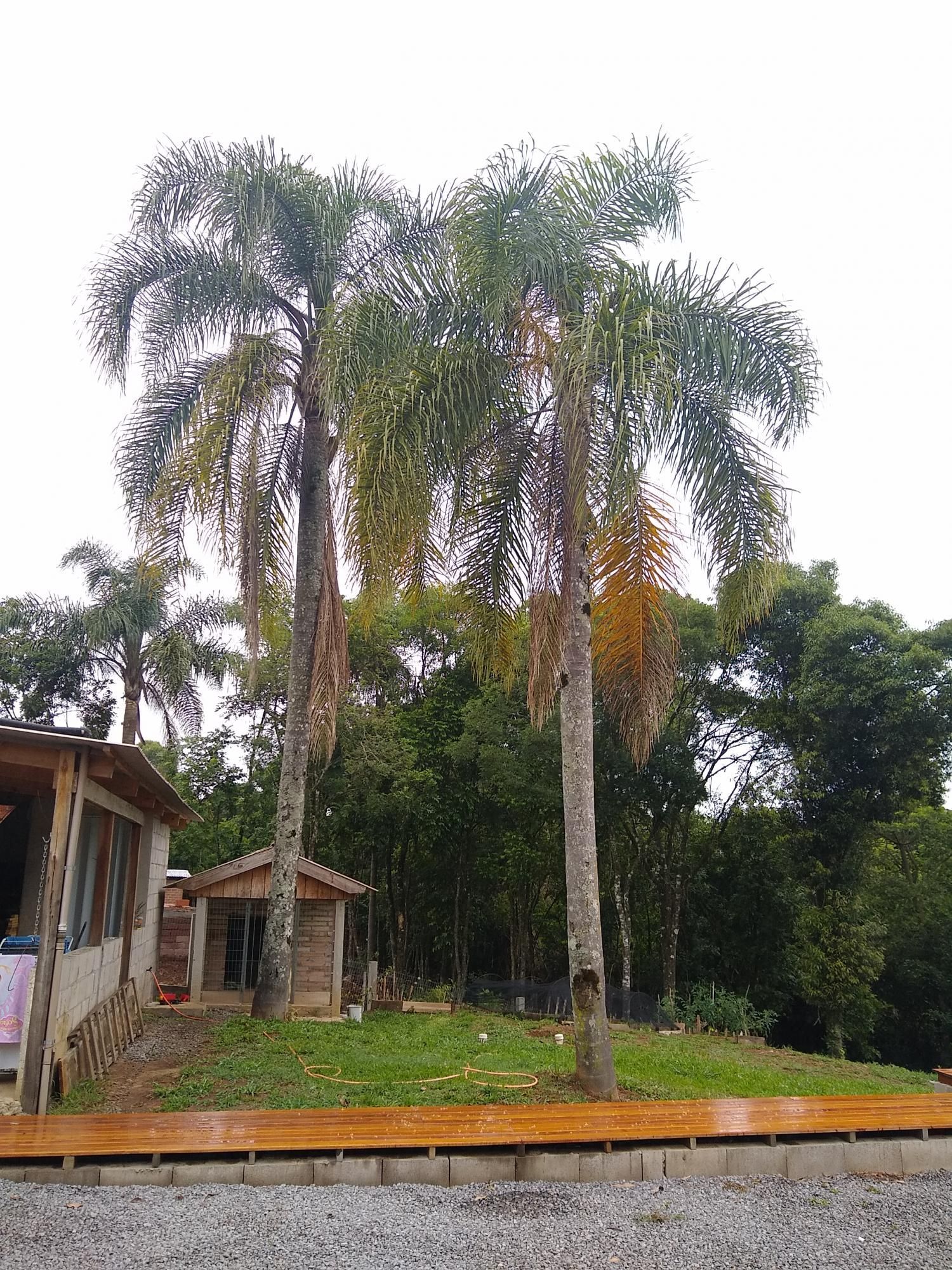 Loteamento e Condomínio à venda, 2700m² - Foto 4