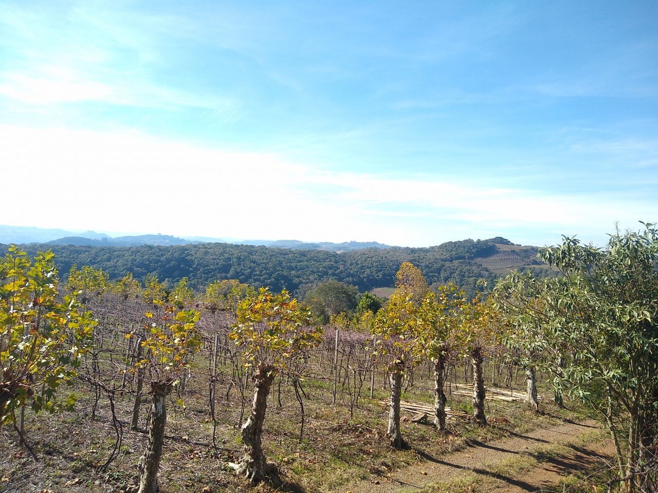 Loteamento e Condomínio à venda, 52000m² - Foto 11