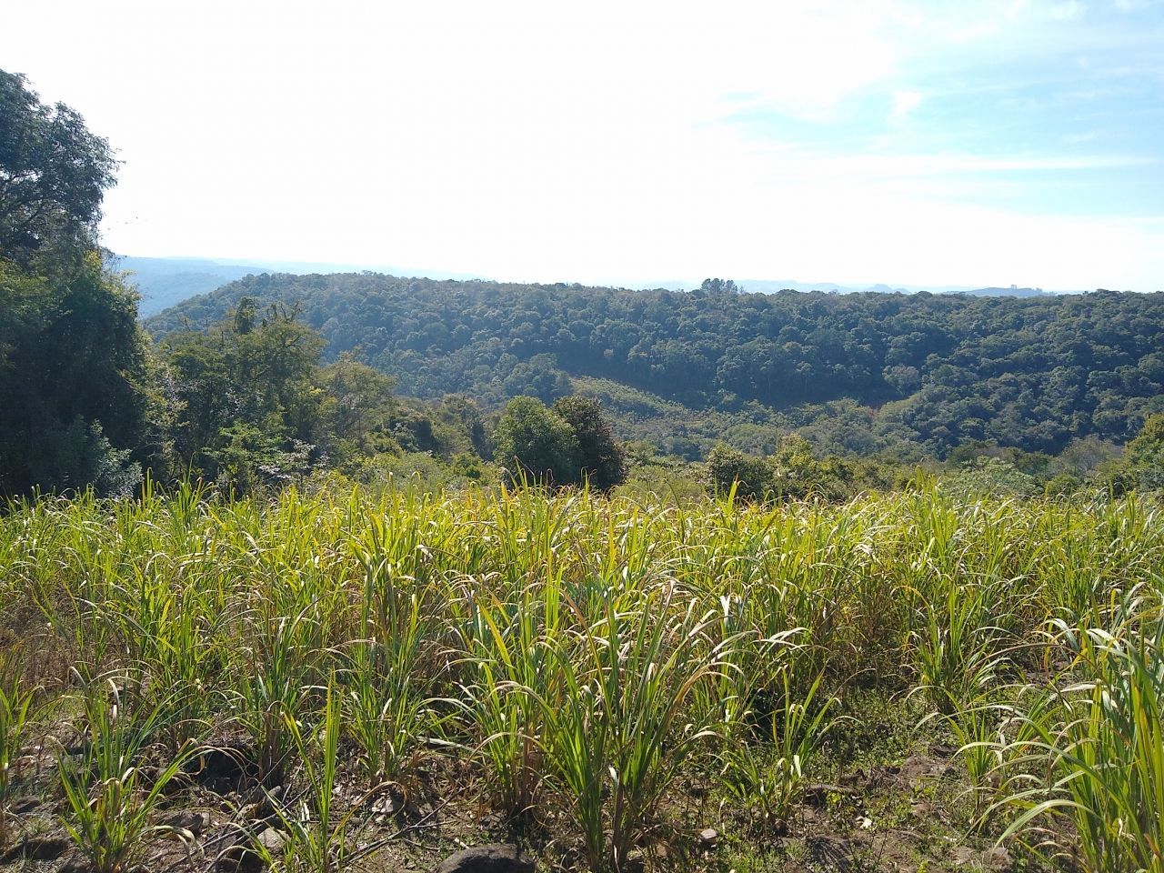 Loteamento e Condomínio à venda, 52000m² - Foto 10