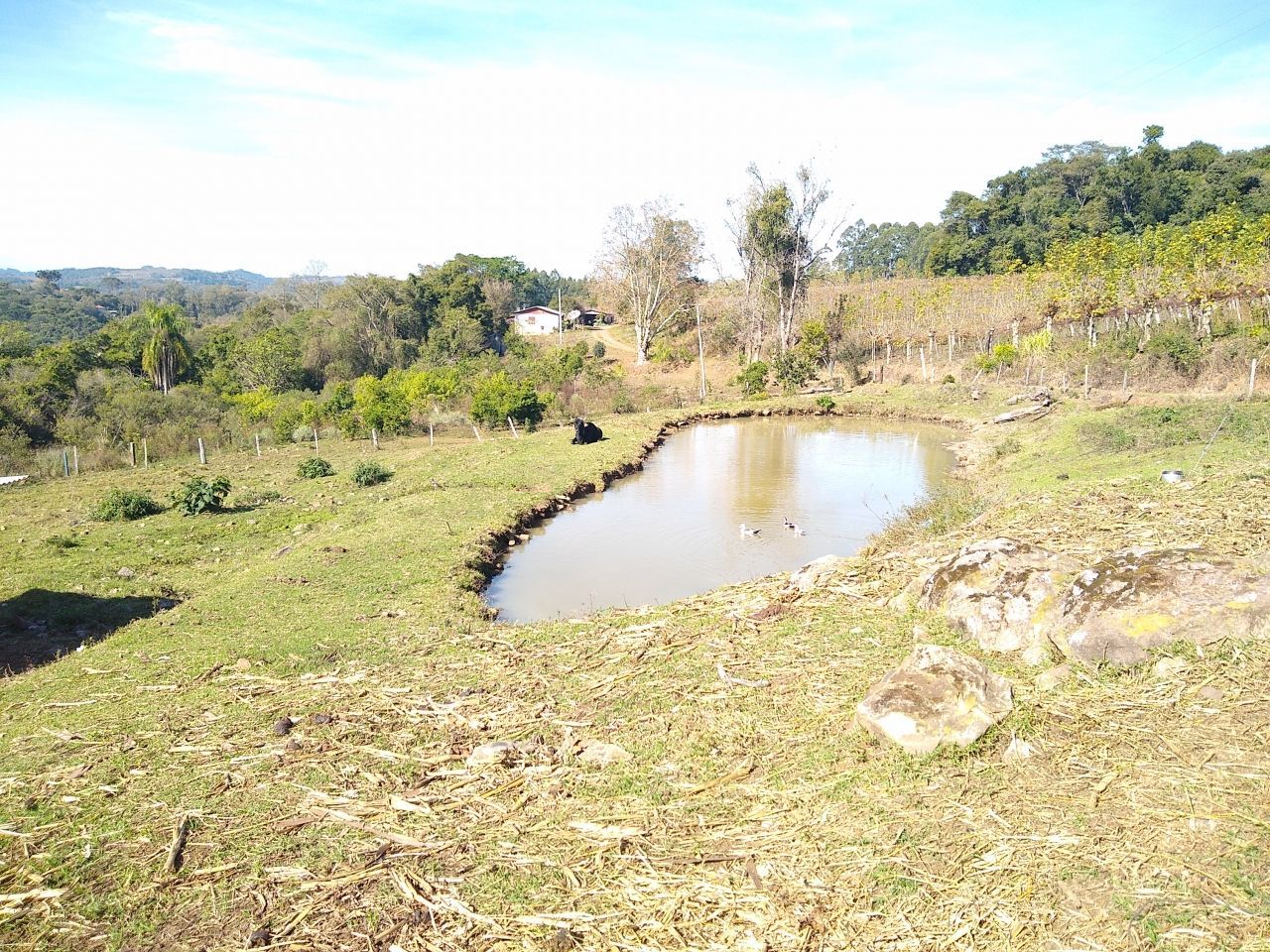 Loteamento e Condomínio à venda, 52000m² - Foto 5