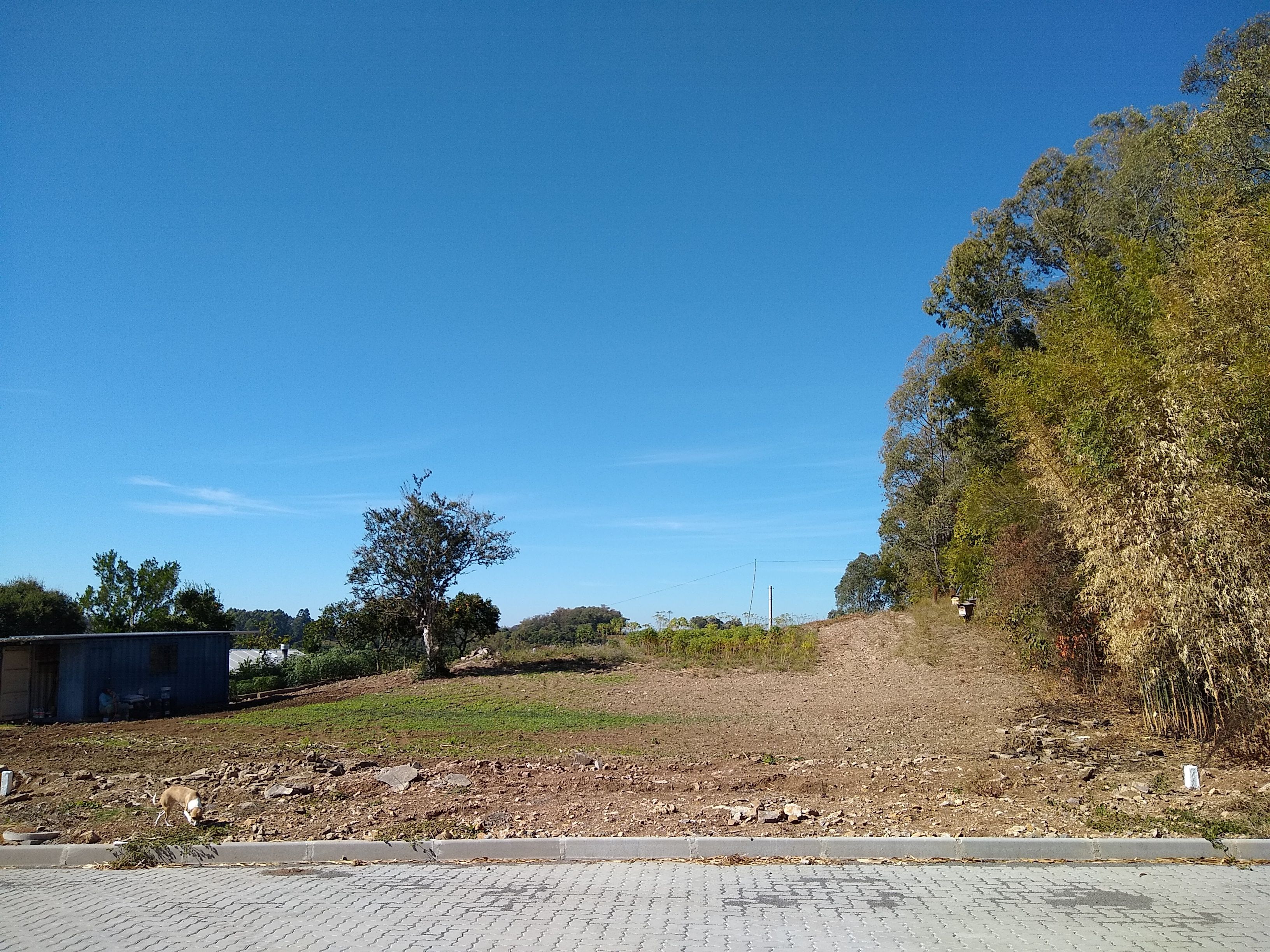 Terreno à venda, 360m² - Foto 4