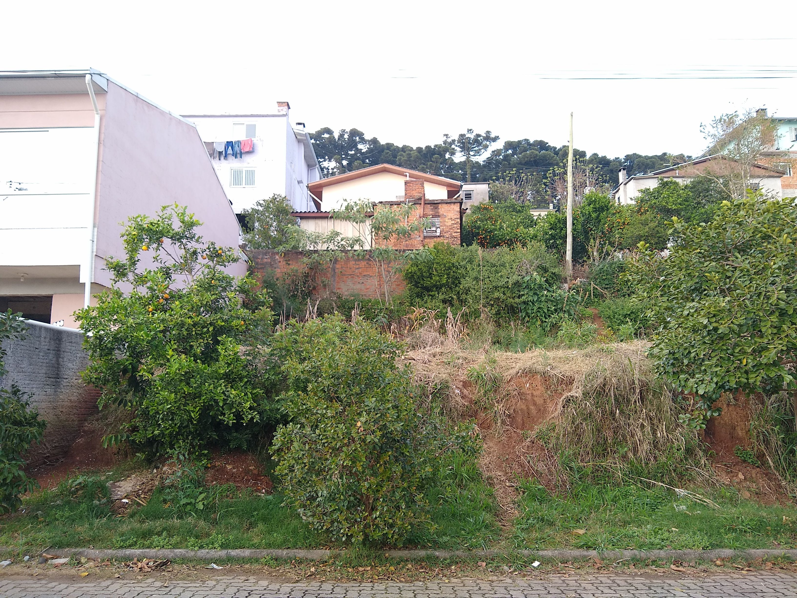 Terreno à venda, 146m² - Foto 2