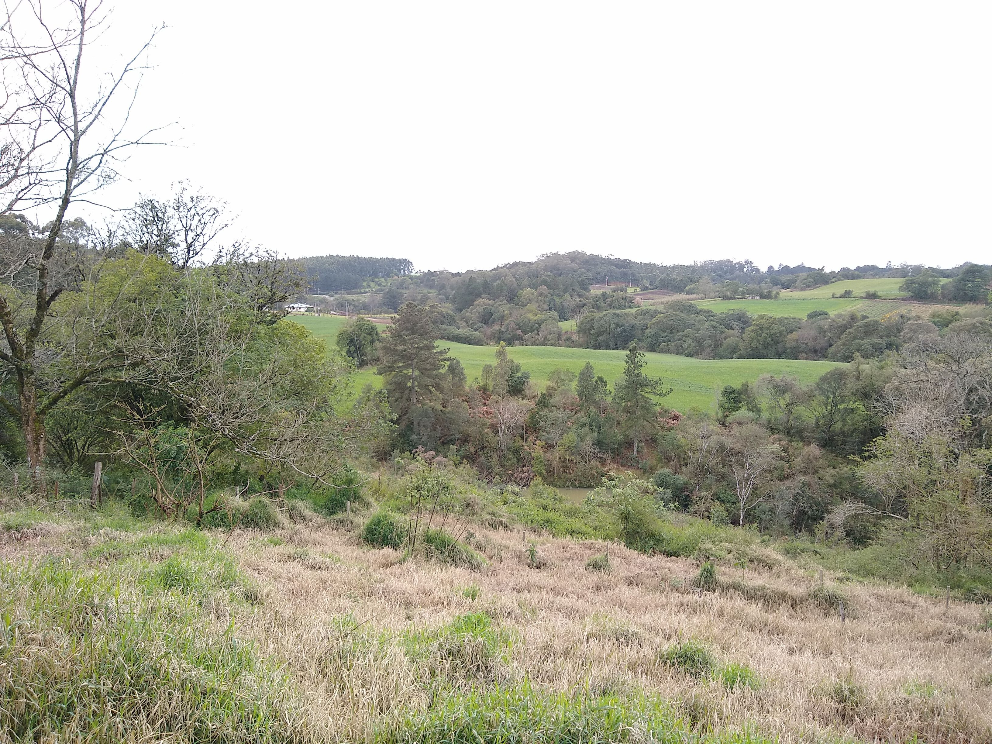 Loteamento e Condomínio, 6 hectares - Foto 3