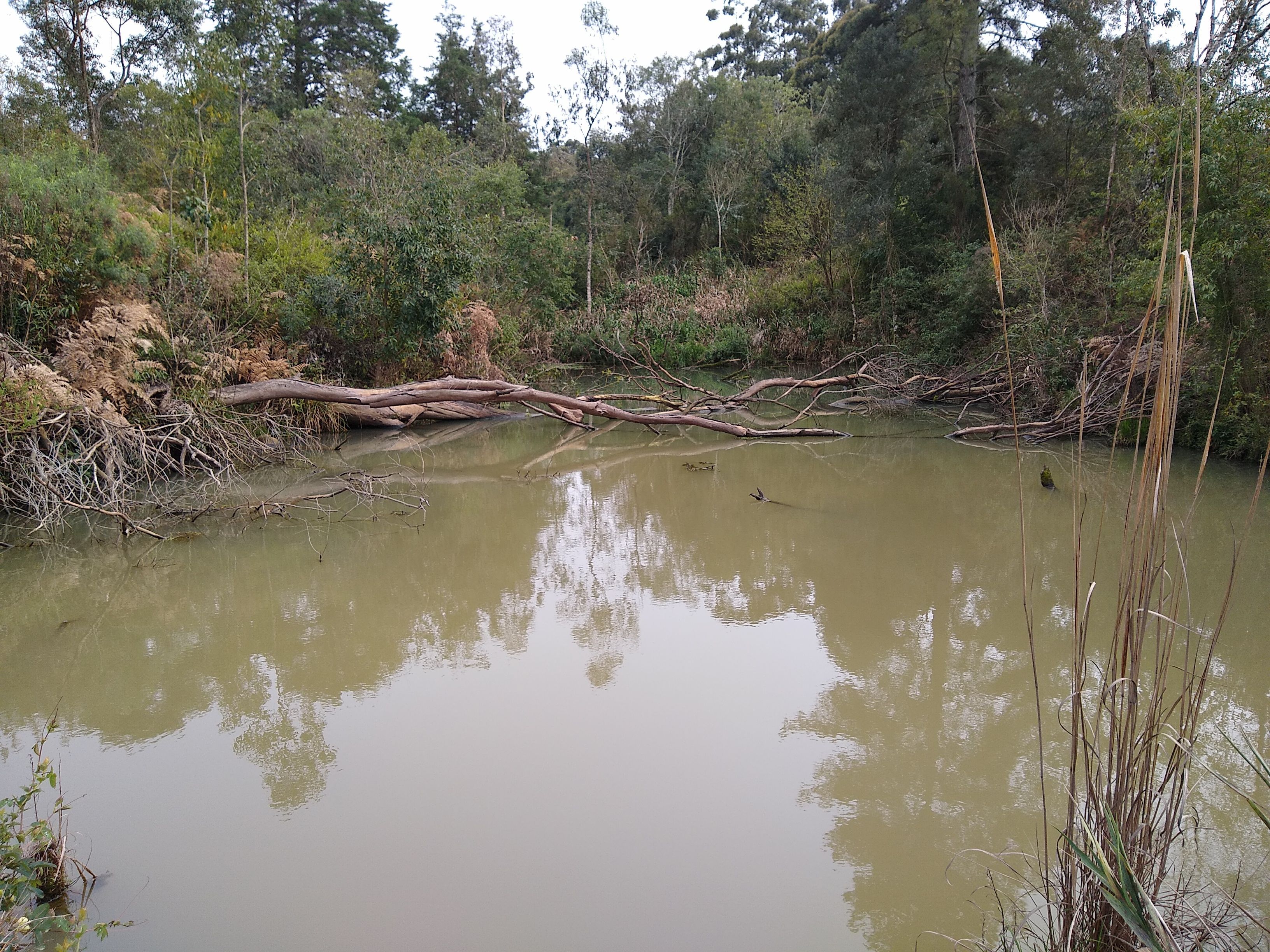 Loteamento e Condomínio, 6 hectares - Foto 4