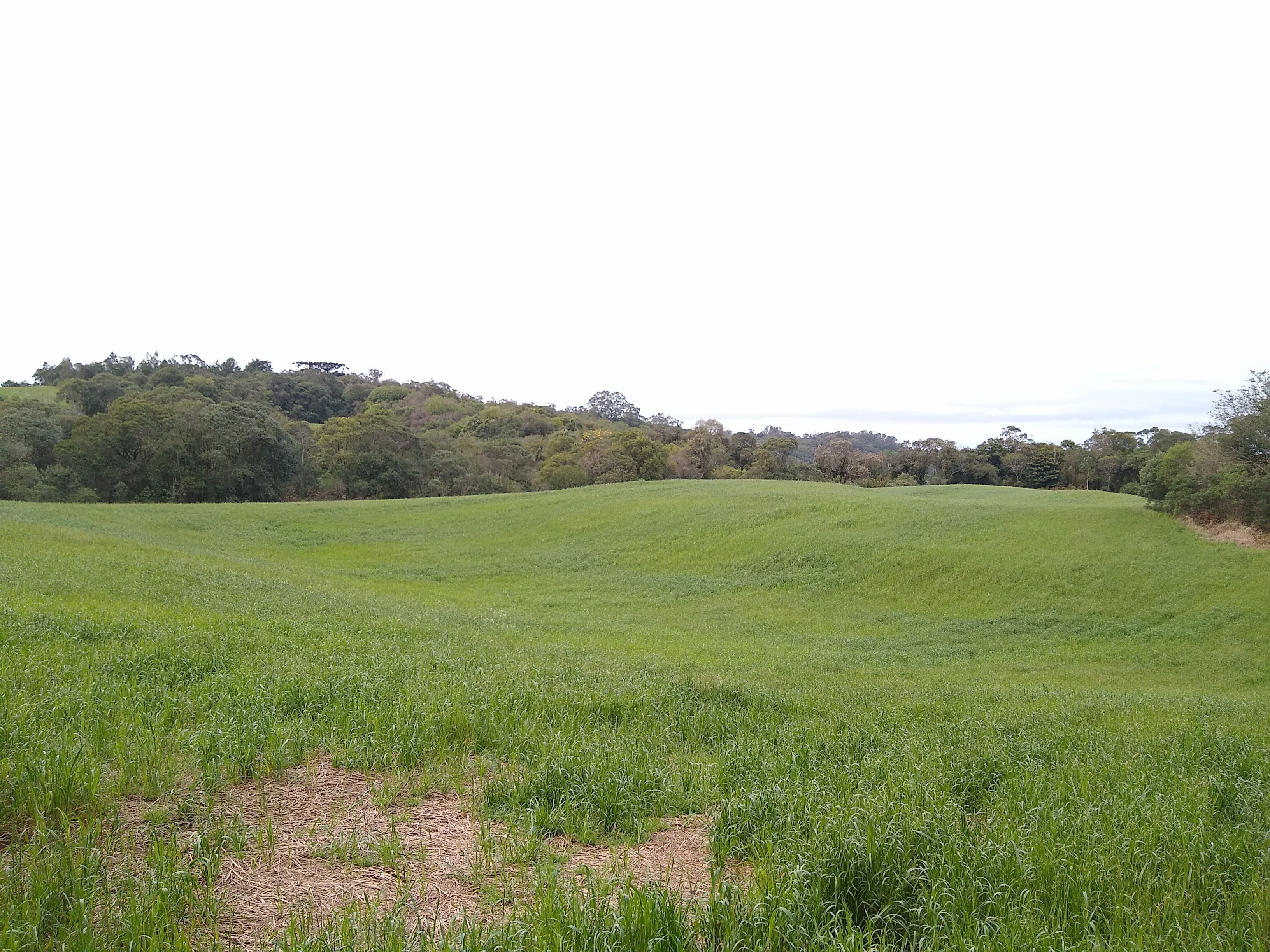 Loteamento e Condomínio, 6 hectares - Foto 1