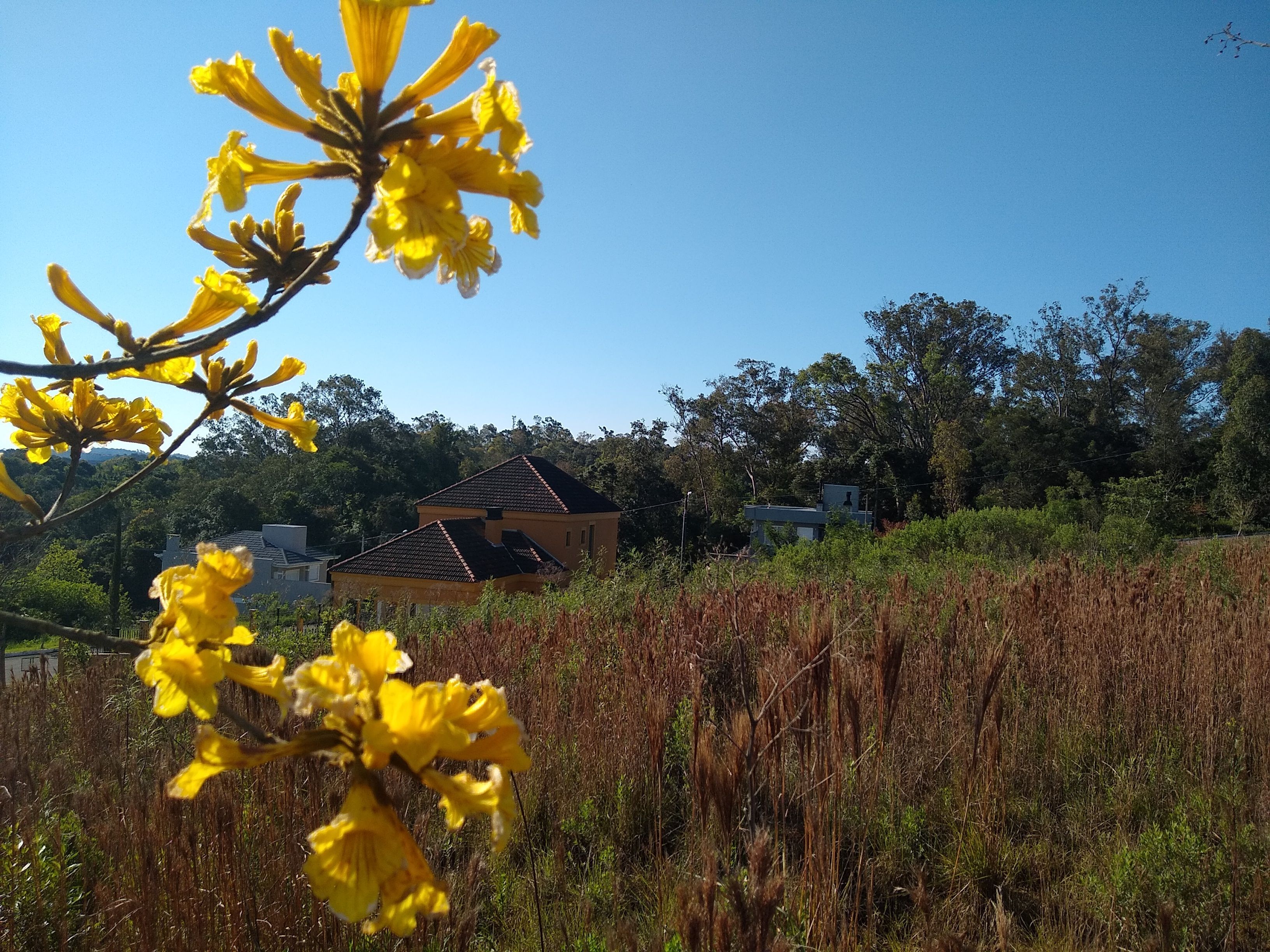 Terreno à venda, 384m² - Foto 1