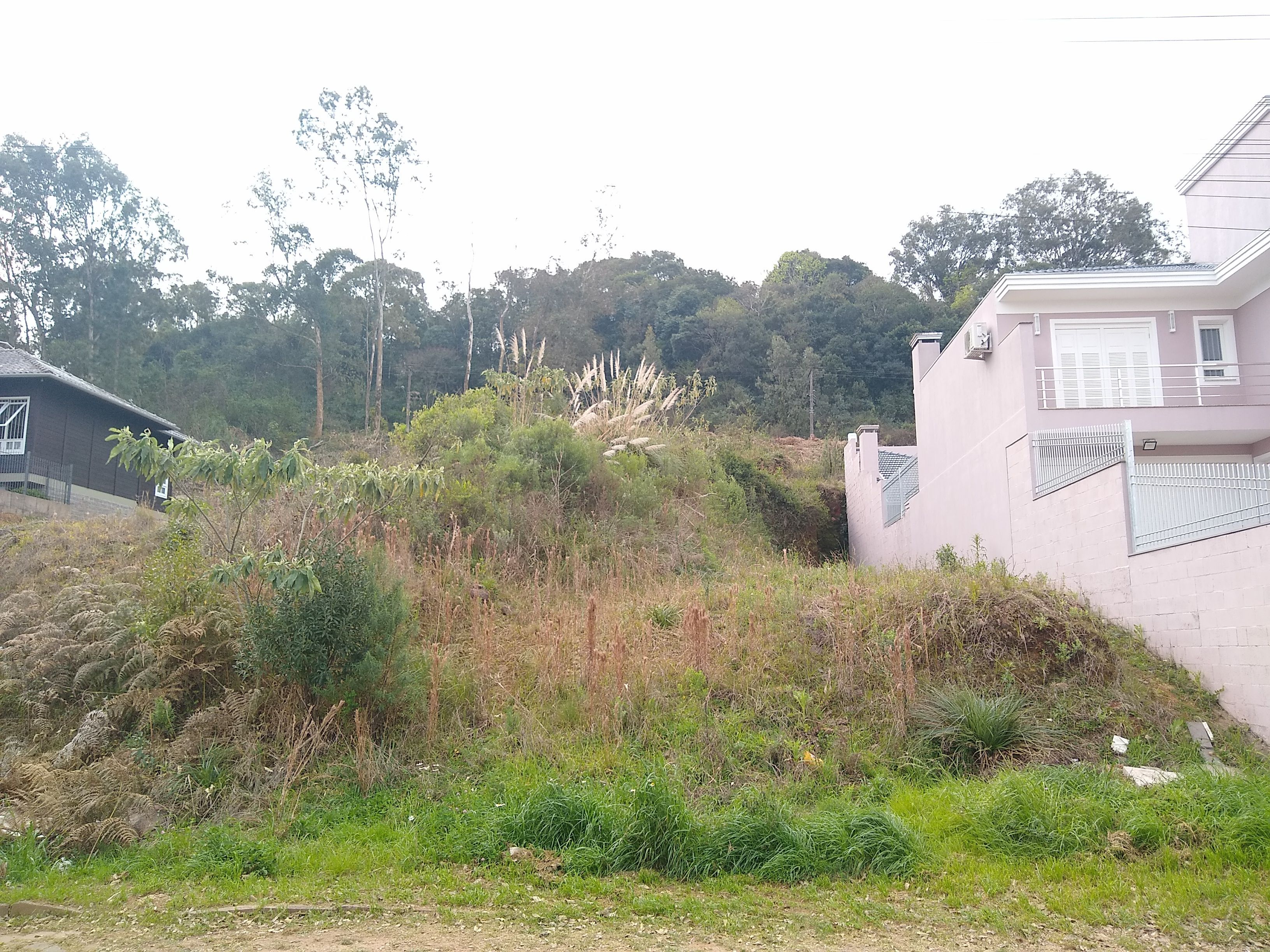 Terreno à venda, 360m² - Foto 2