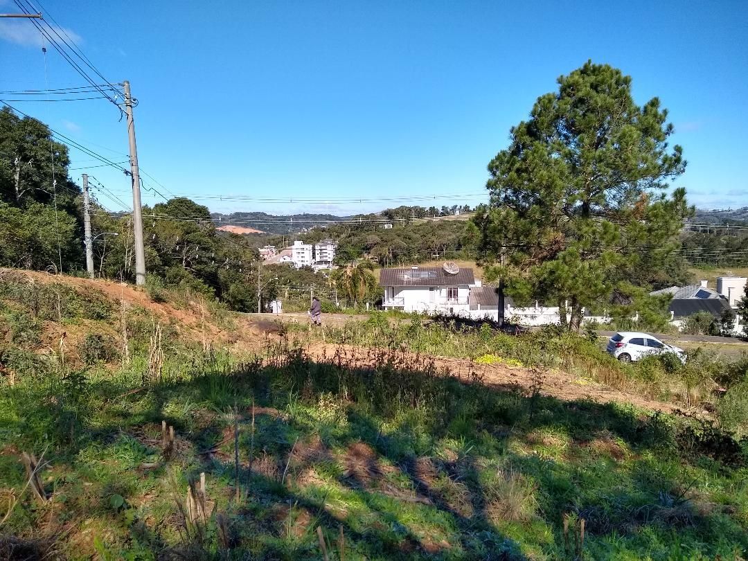 Terreno à venda, 450m² - Foto 2