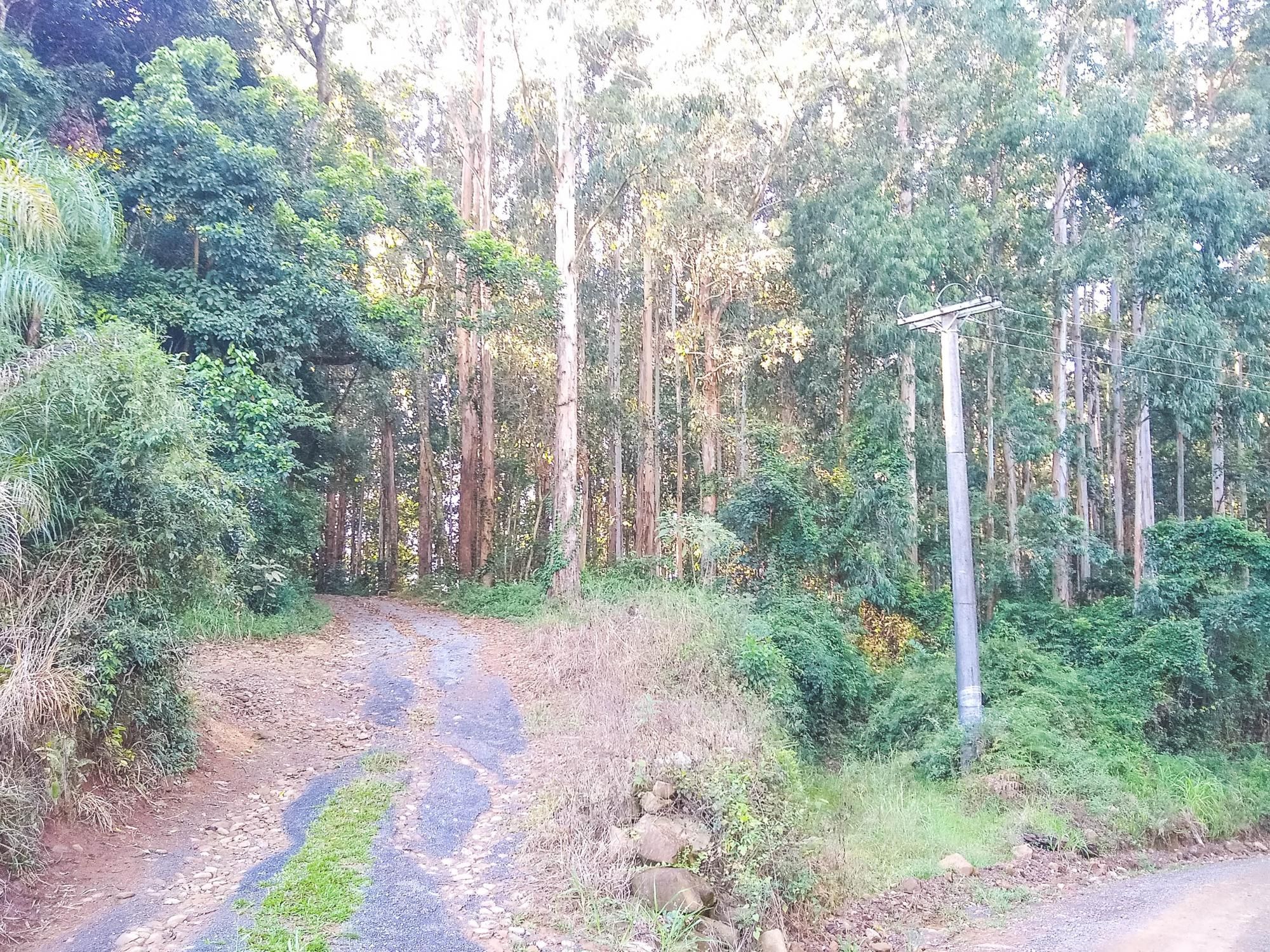 Loteamento e Condomínio à venda, 63000m² - Foto 1