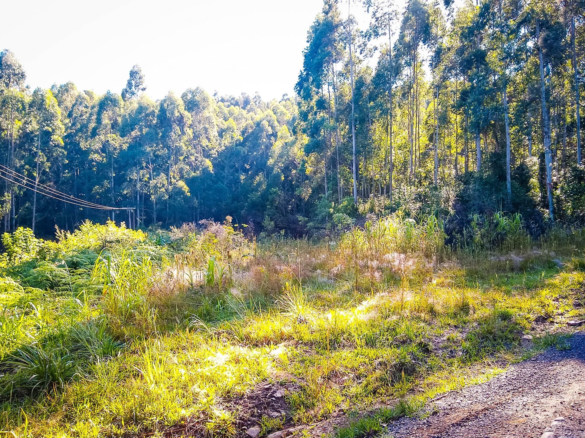 Loteamento e Condomínio à venda, 63000m² - Foto 3