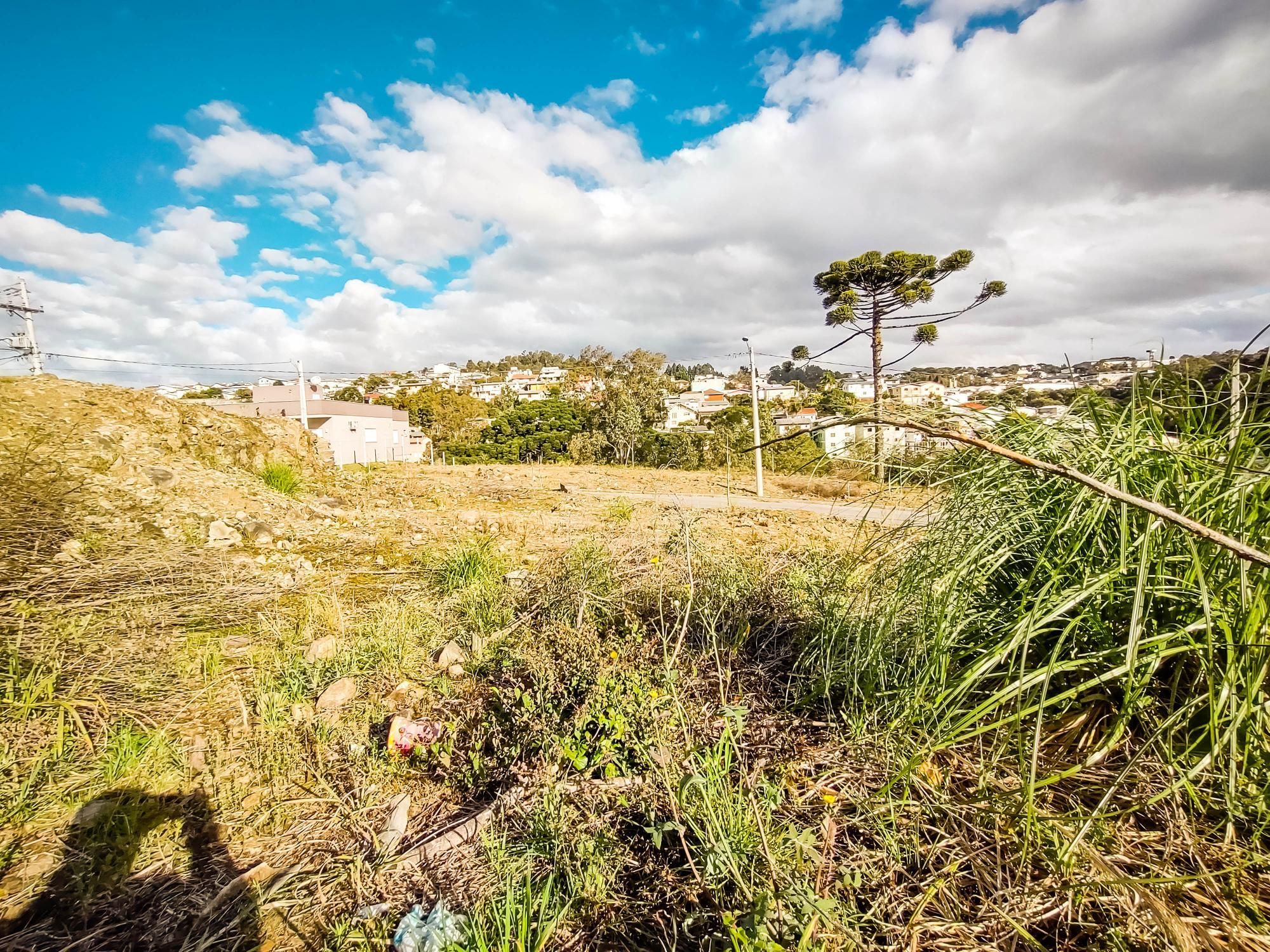 Terreno à venda, 303m² - Foto 3