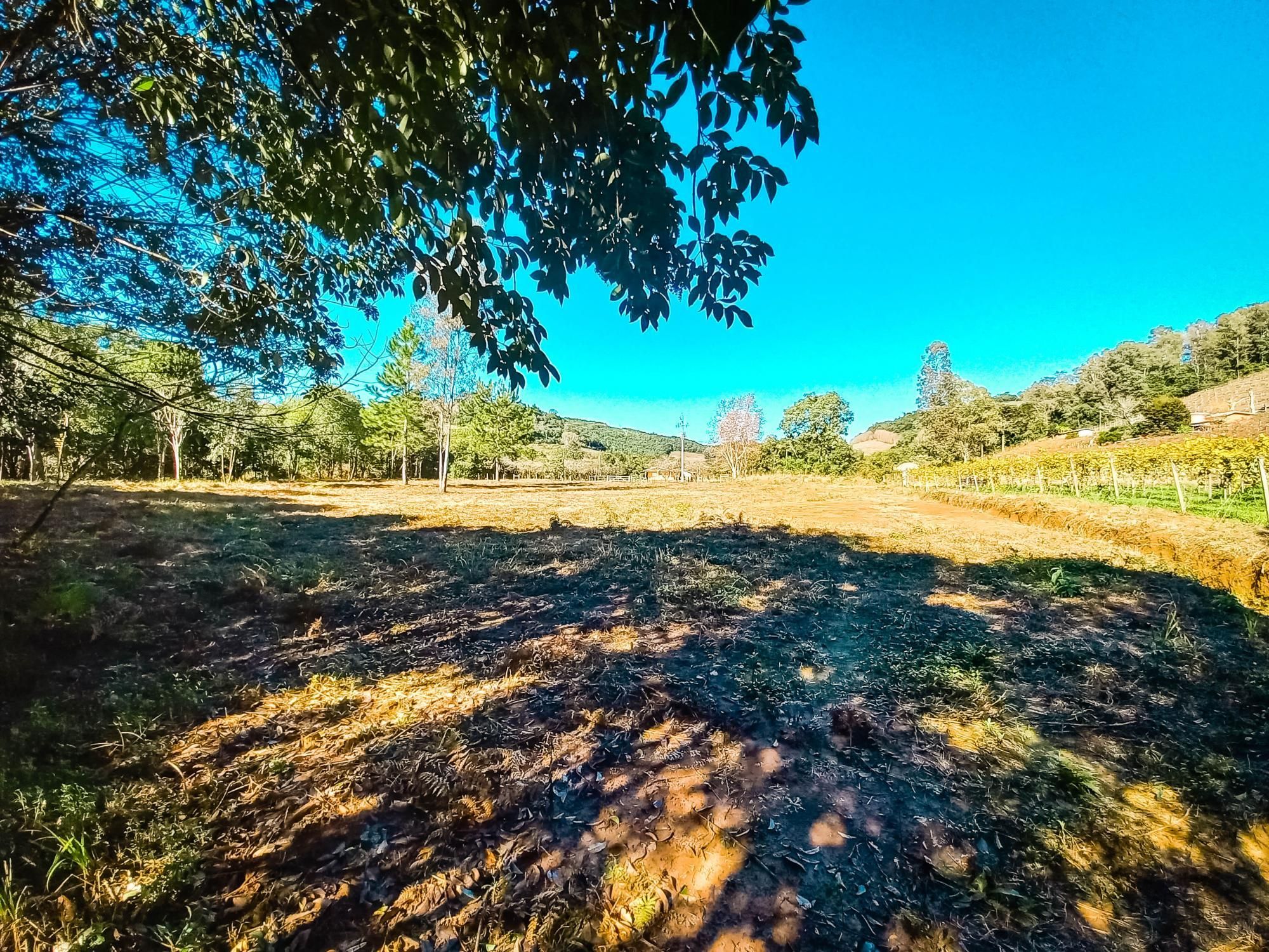 Loteamento e Condomínio à venda, 6000m² - Foto 5