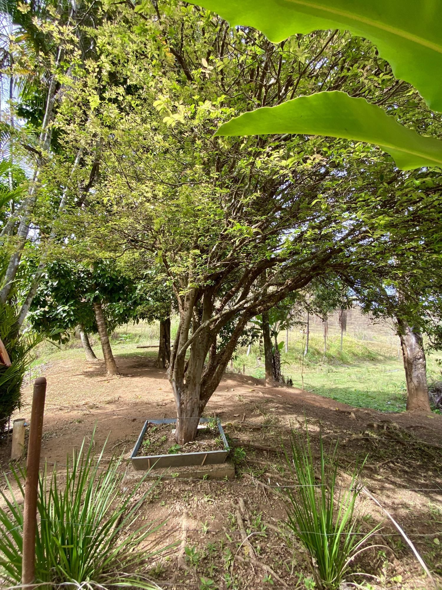 Fazenda para alugar com 7 quartos, 560m² - Foto 15