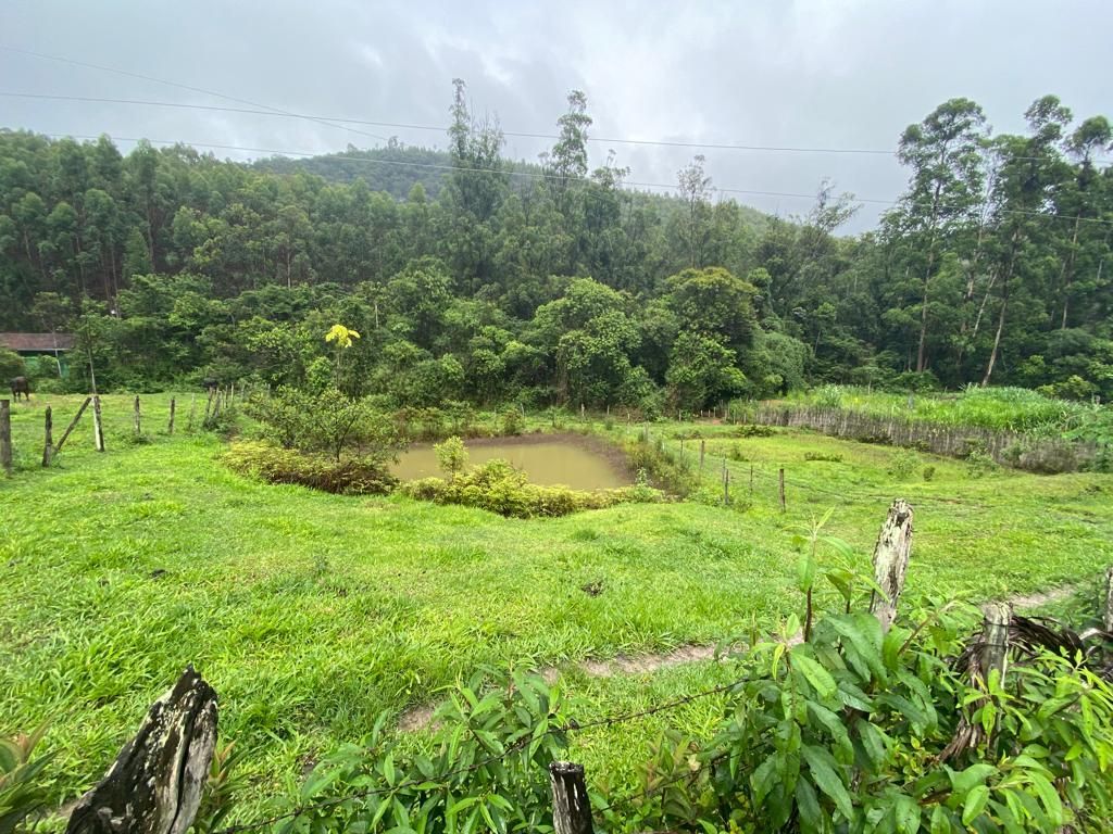 Fazenda à venda com 4 quartos, 64000m² - Foto 10