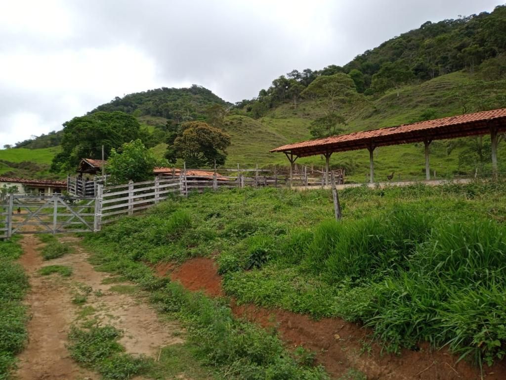 Fazenda/stio/chcara/haras  venda  no Zona Rural - So Domingos do Prata, MG. Imveis
