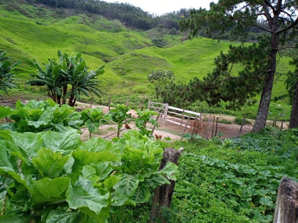 Fazenda à venda com 3 quartos, 280m² - Foto 8