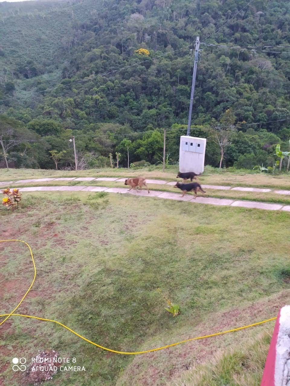 Fazenda à venda com 3 quartos, 5000m² - Foto 20