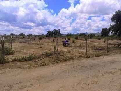 Fazenda à venda, 40000m² - Foto 6