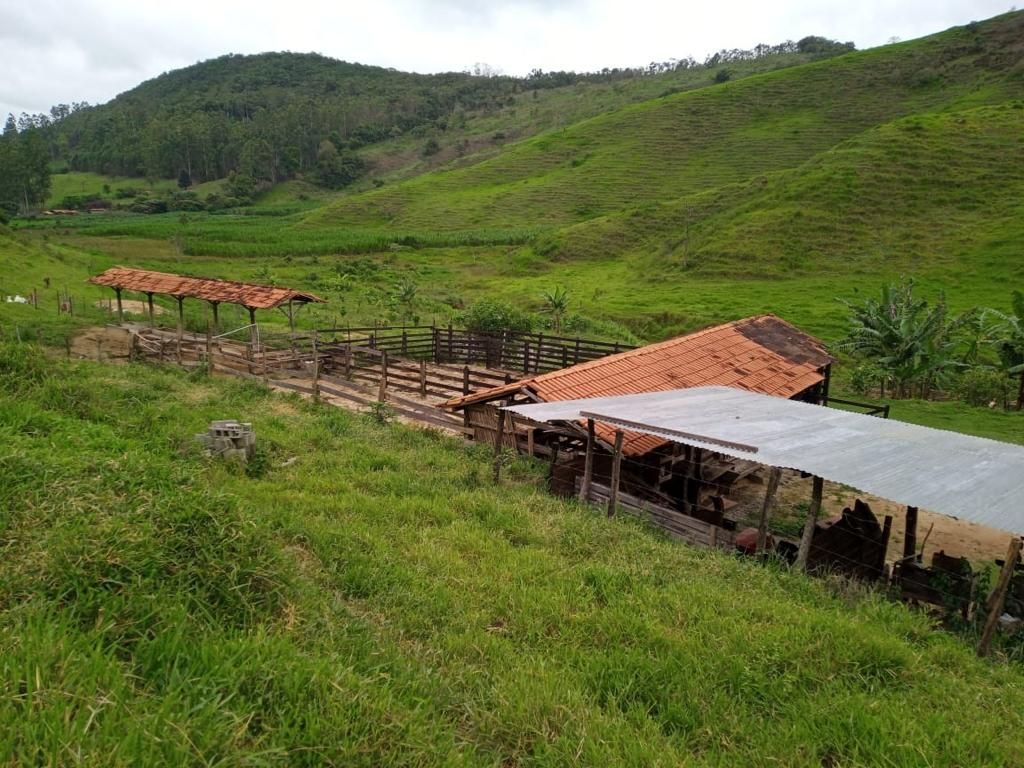 Fazenda à venda com 3 quartos, 280m² - Foto 12