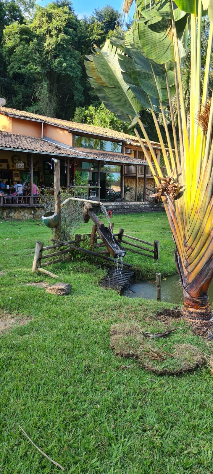 Fazenda à venda com 3 quartos, 25000m² - Foto 3