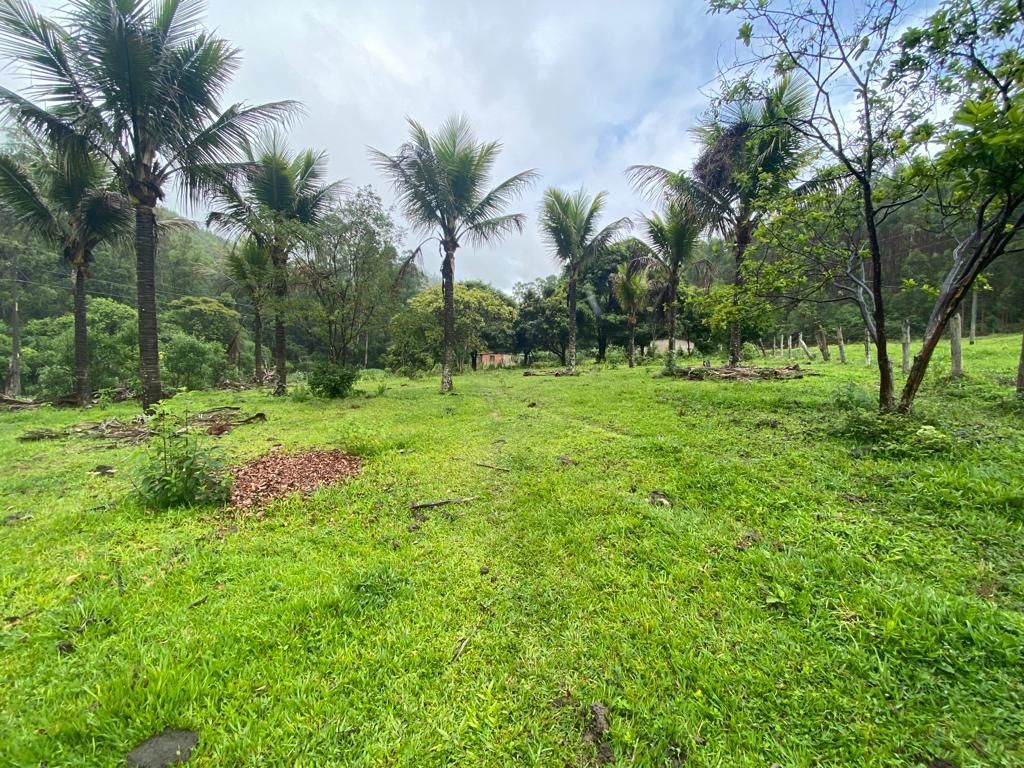 Fazenda à venda com 4 quartos, 64000m² - Foto 7