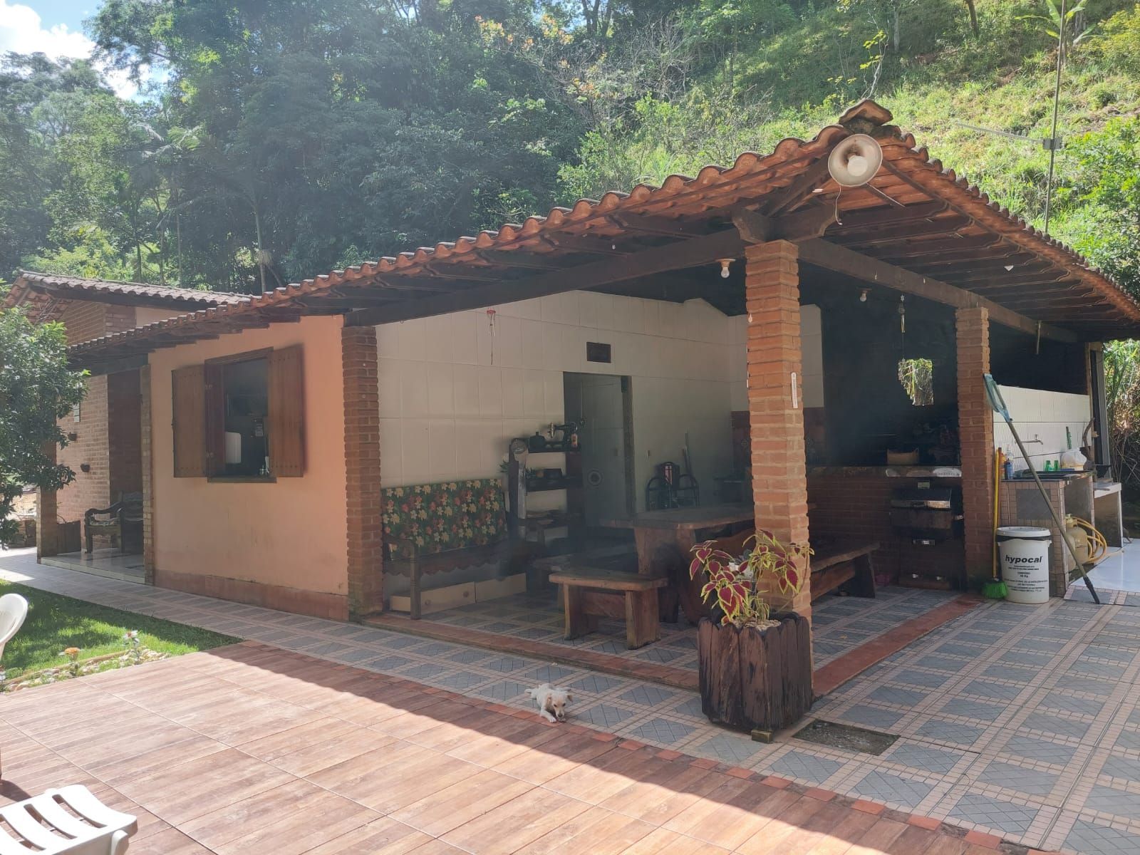 Fazenda à venda com 5 quartos, 300m² - Foto 3