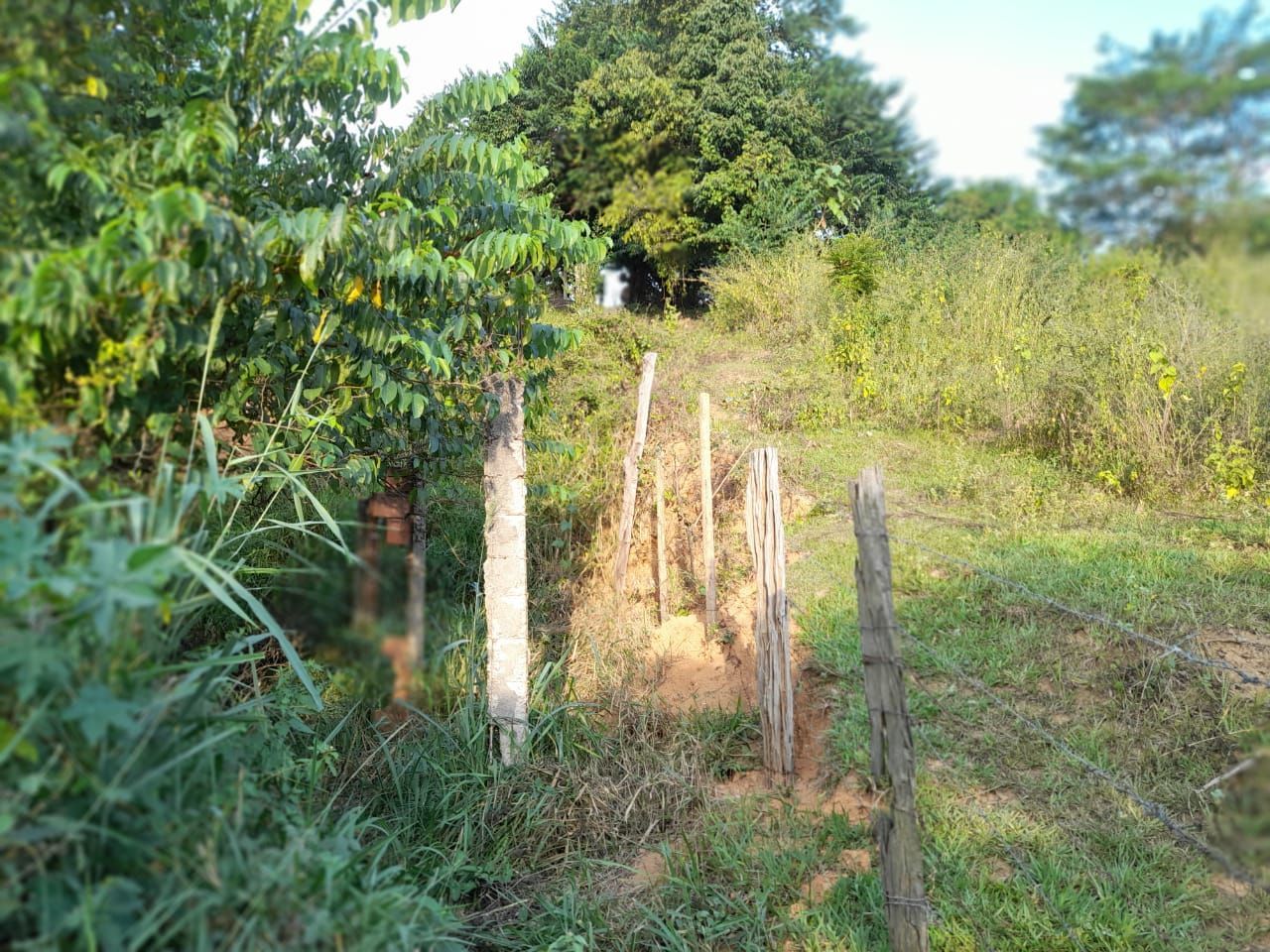 Terreno à venda, 500m² - Foto 2