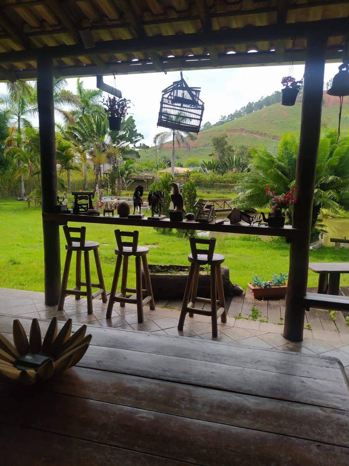 Fazenda à venda com 3 quartos, 25000m² - Foto 9