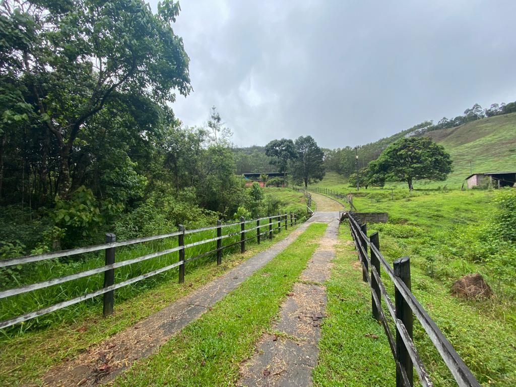 Fazenda à venda com 4 quartos, 64000m² - Foto 3