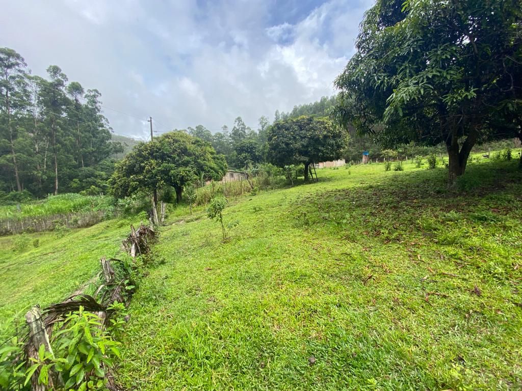 Fazenda à venda com 4 quartos, 64000m² - Foto 9