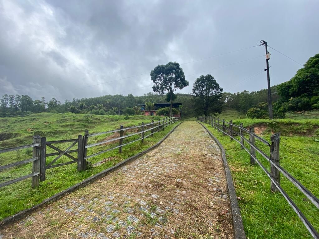 Fazenda à venda com 4 quartos, 64000m² - Foto 4