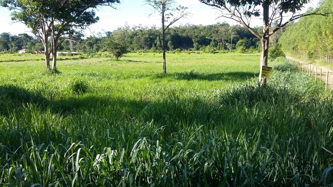 Terreno à venda, 16000m² - Foto 1