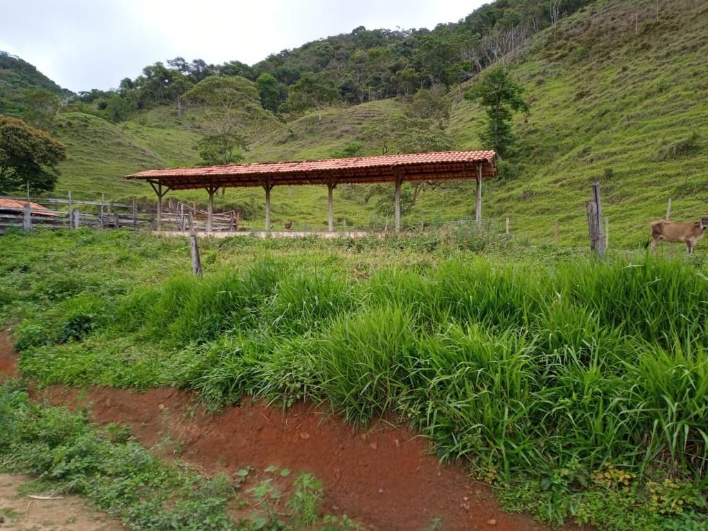 Fazenda à venda com 3 quartos, 280m² - Foto 10