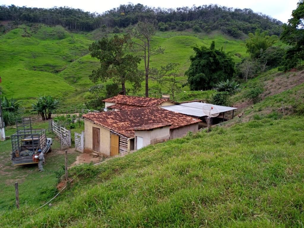 Fazenda à venda com 3 quartos, 280m² - Foto 4