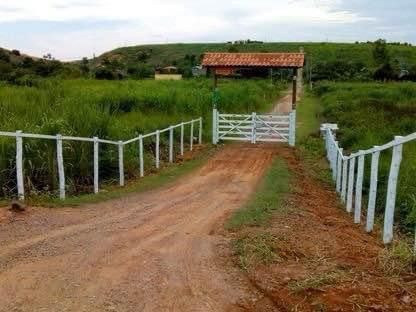 Fazenda-Sítio-Chácara, 4 hectares - Foto 1