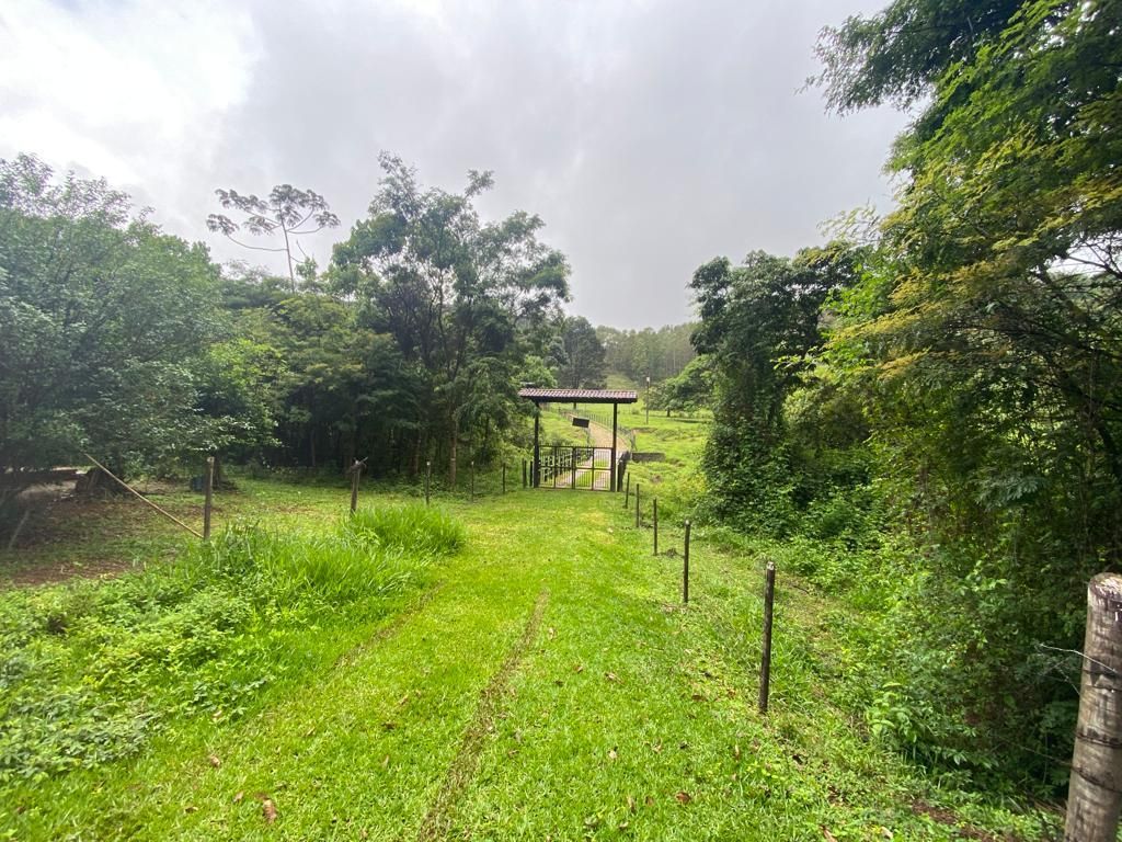 Fazenda à venda com 4 quartos, 64000m² - Foto 1