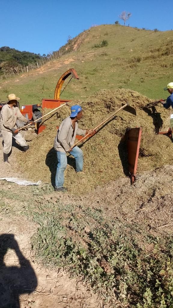 Fazenda à venda com 3 quartos, 280m² - Foto 25