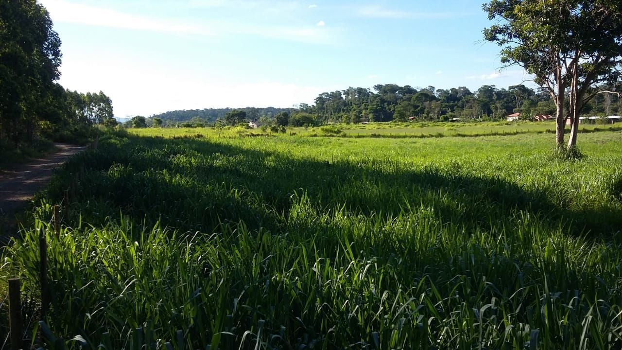 Terreno à venda, 16000m² - Foto 3