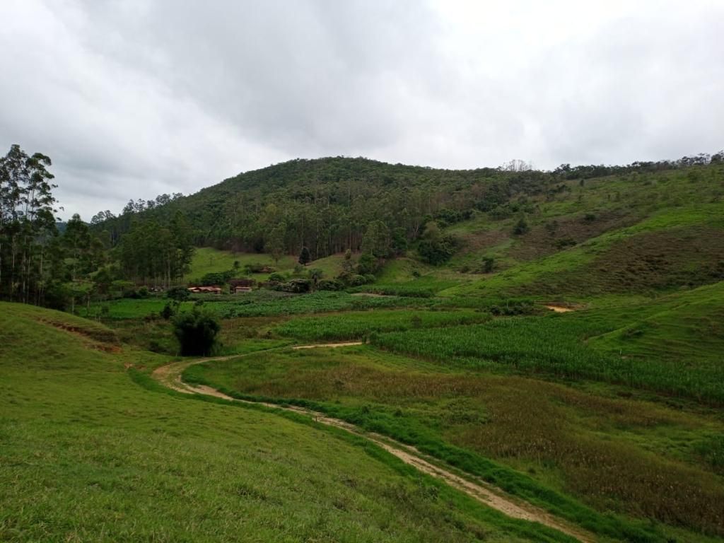 Fazenda à venda com 3 quartos, 280m² - Foto 3