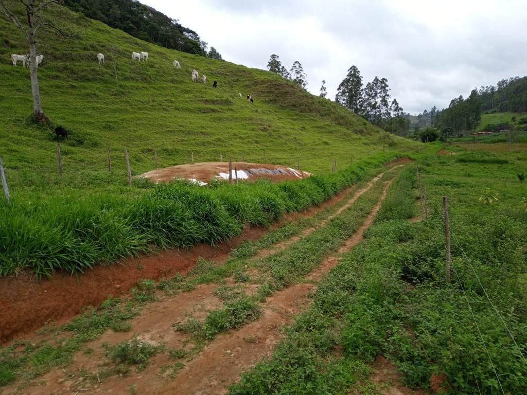 Fazenda à venda com 3 quartos, 280m² - Foto 2