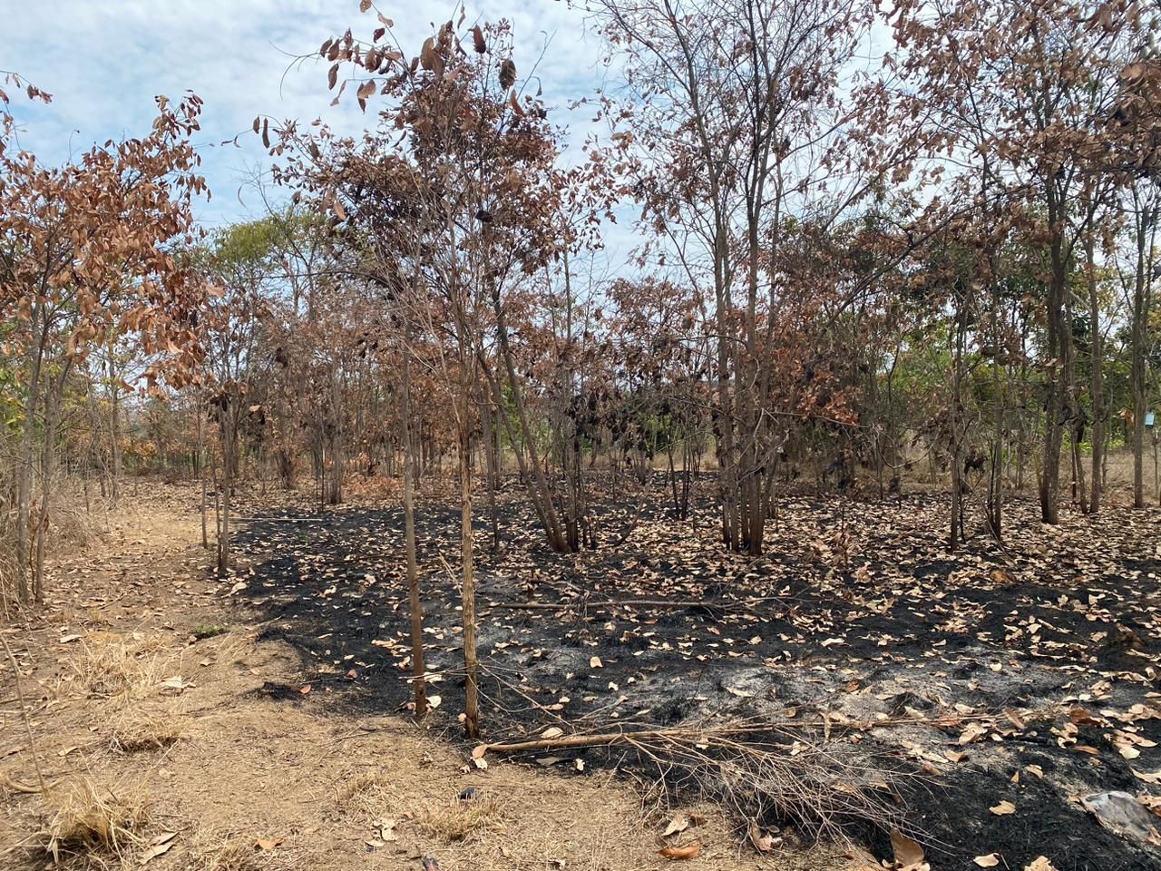 Fazenda à venda, 40000m² - Foto 4