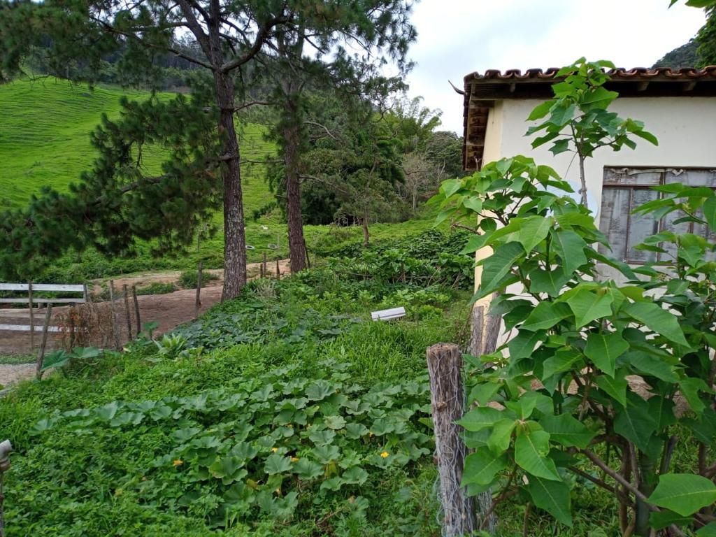 Fazenda à venda com 3 quartos, 280m² - Foto 9