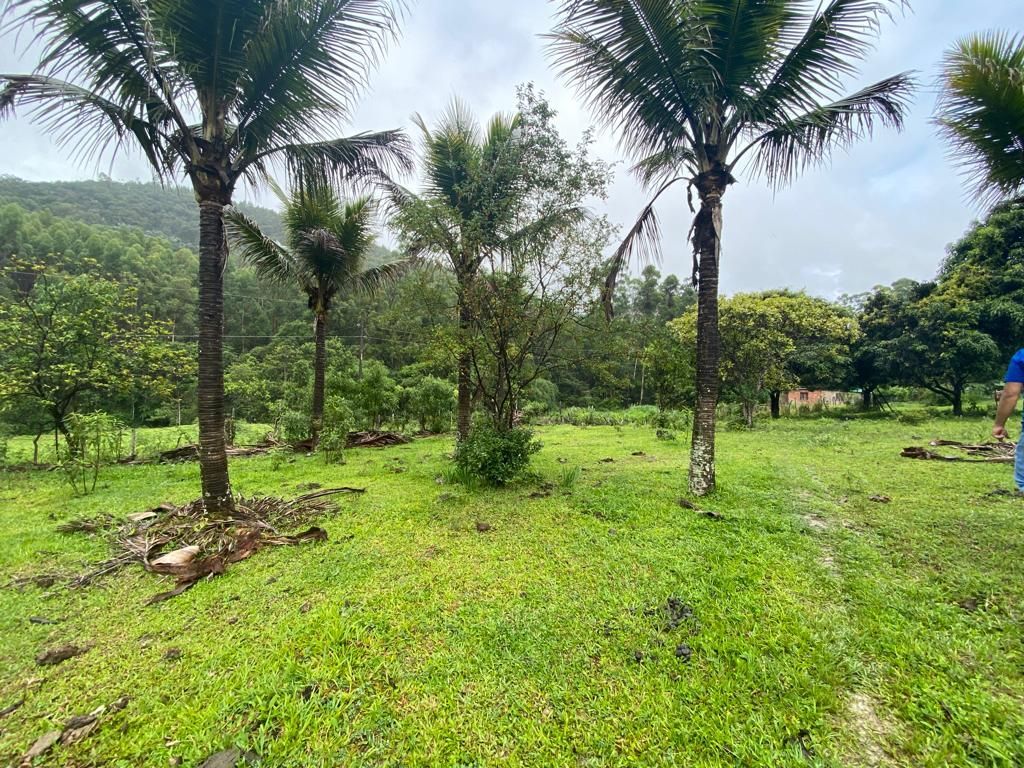 Fazenda à venda com 4 quartos, 64000m² - Foto 8